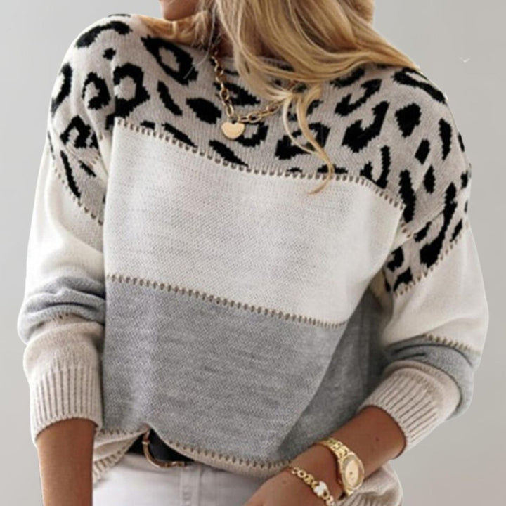 Women's Leopard Colorblock Knit Sweater Crewneck Relaxed Pullover Top
