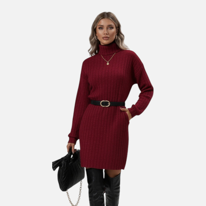 Women's Ribbed Turtleneck Sweater Dress Long-Sleeve Relaxed Knit Mini