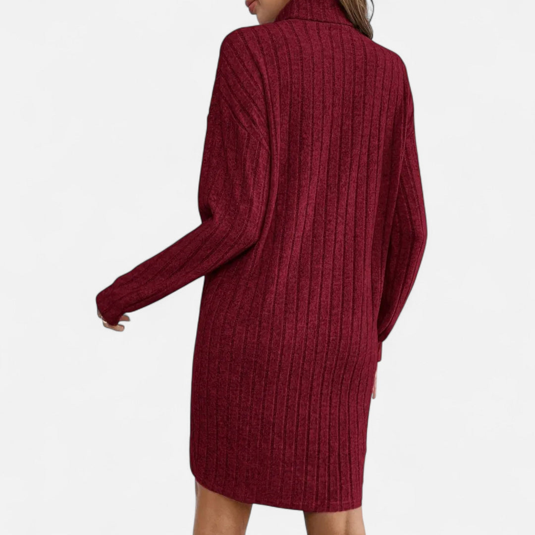 Women's Ribbed Turtleneck Sweater Dress Long-Sleeve Relaxed Knit Mini