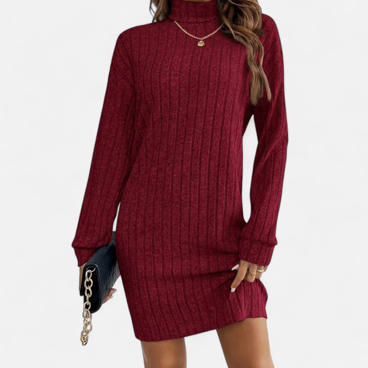 Women's Ribbed Turtleneck Sweater Dress Long-Sleeve Relaxed Knit Mini